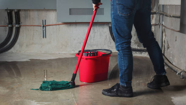 Best Flood damage cleanup  in Haworth, NJ