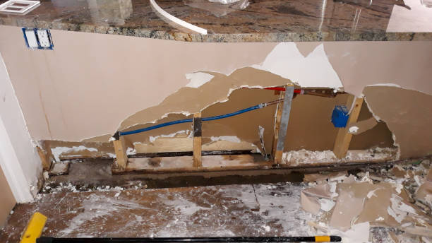Best Carpet water damage restoration  in Haworth, NJ