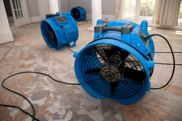 Best Flood restoration services  in Haworth, NJ
