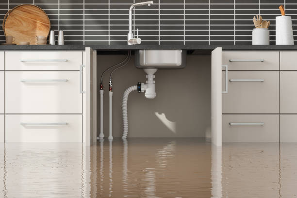 Best Water damage contractors near me  in Haworth, NJ