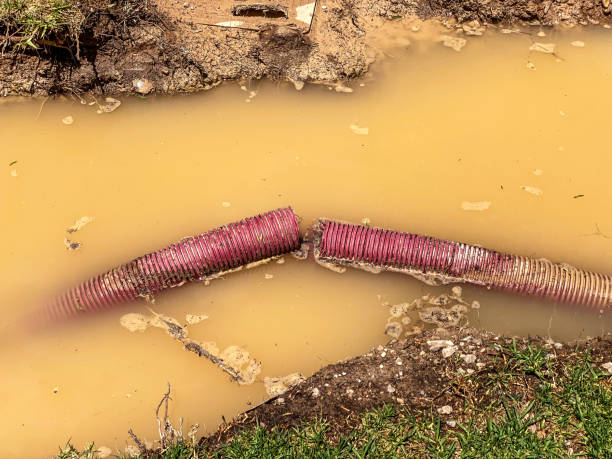 Best Water damage restoration near me  in Haworth, NJ