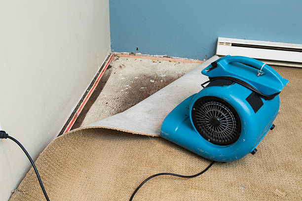 Best Commercial water damage restoration  in Haworth, NJ
